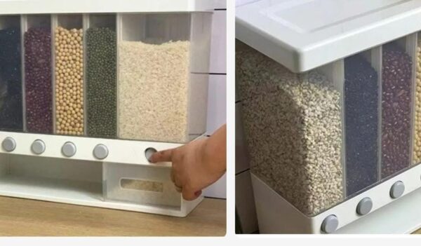 Partition Cereal/Food Dispenser